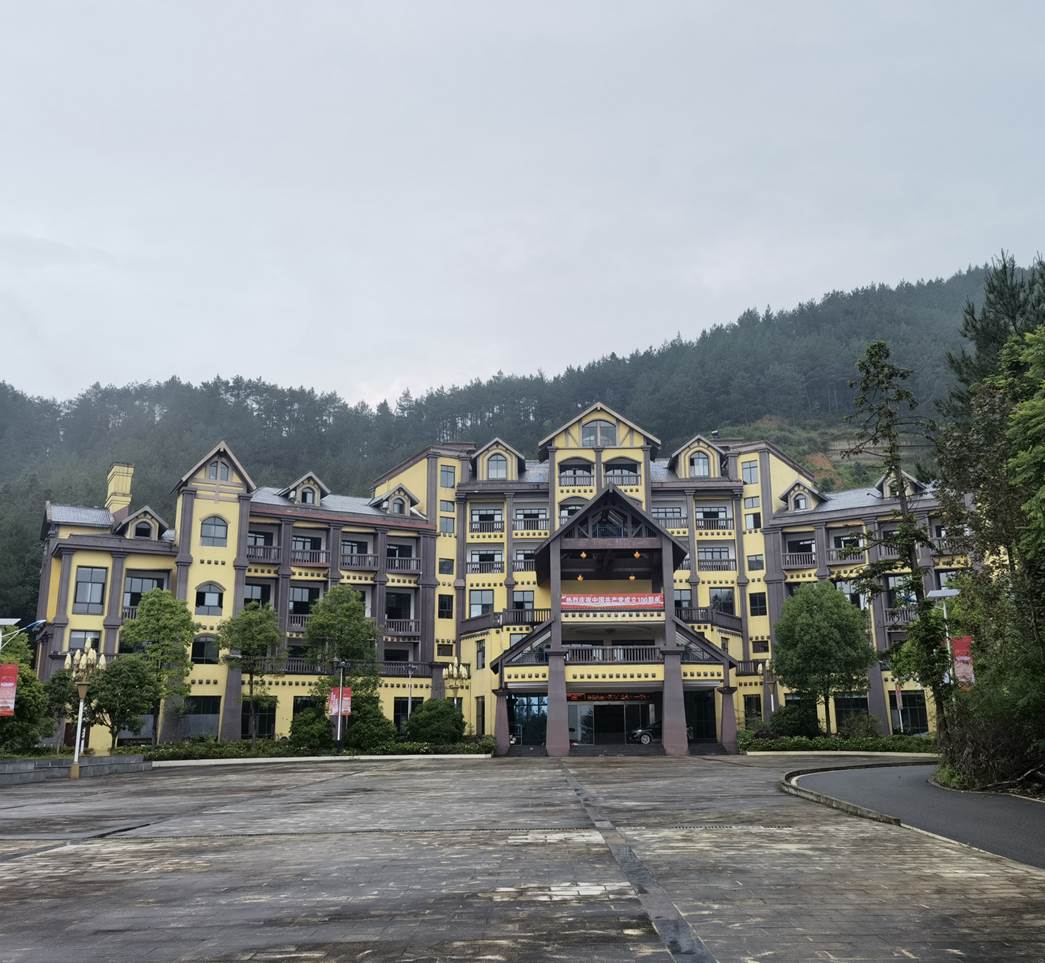 (图1)