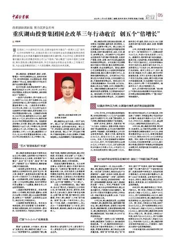 喜讯！中央级媒体《中国企业报》整版刊登了湖山集团发展改革成果(图1)