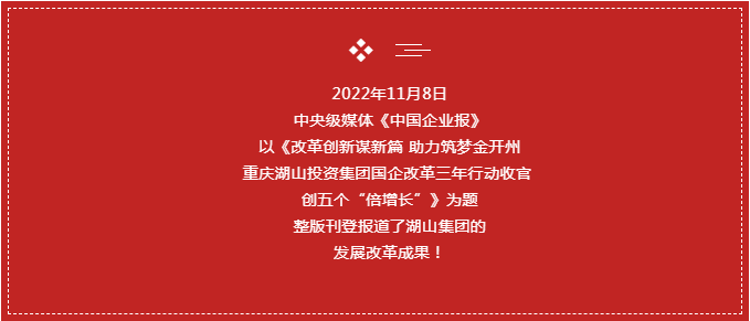 喜讯！中央级媒体《中国企业报》整版刊登了湖山集团发展改革成果(图1)