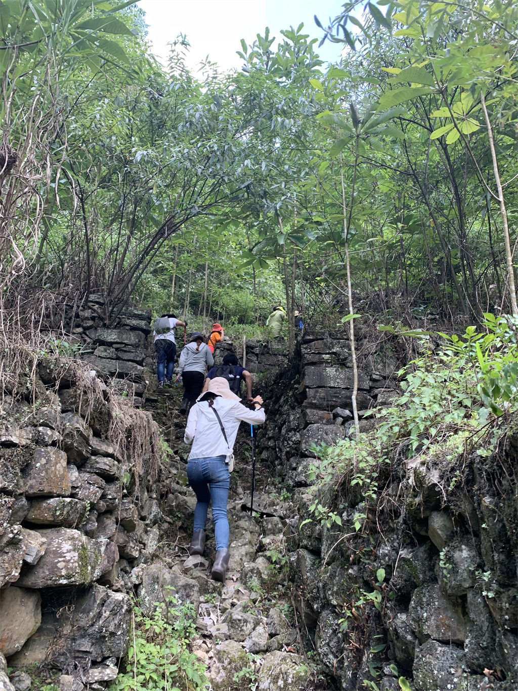 黄龙溪1秦巴古道(图1)