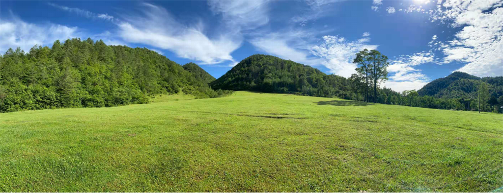 大草坪(图1)
