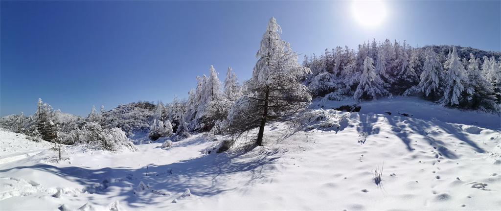 雪淞圣境(图3)