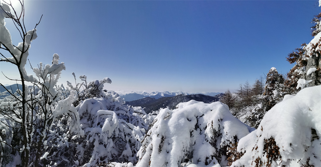 雪淞圣境(图8)