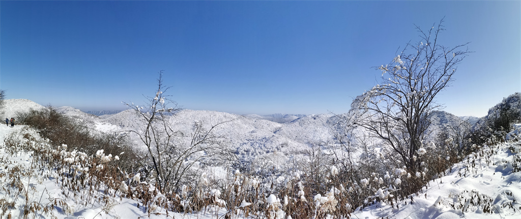 雪淞圣境(图9)