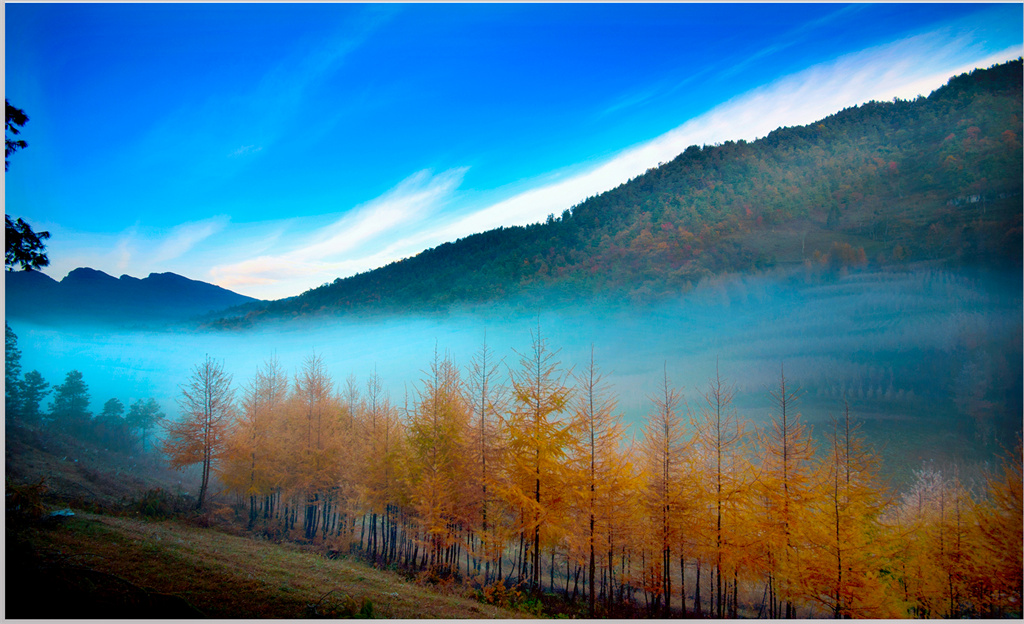 雪宝山十宝之千层红叶(图1)