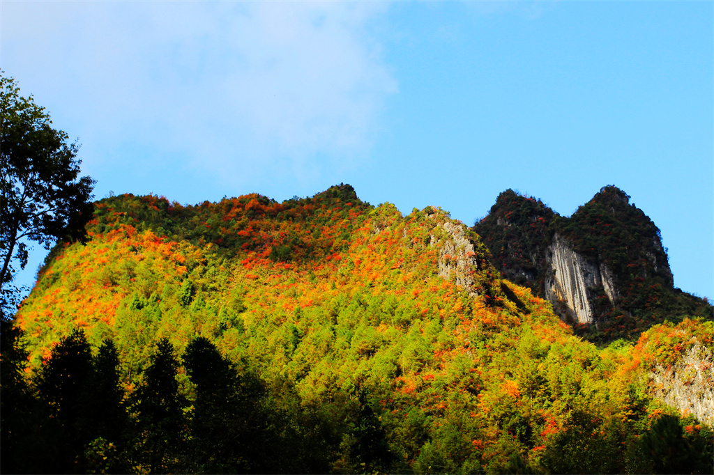 雪宝山十宝之千层红叶(图2)