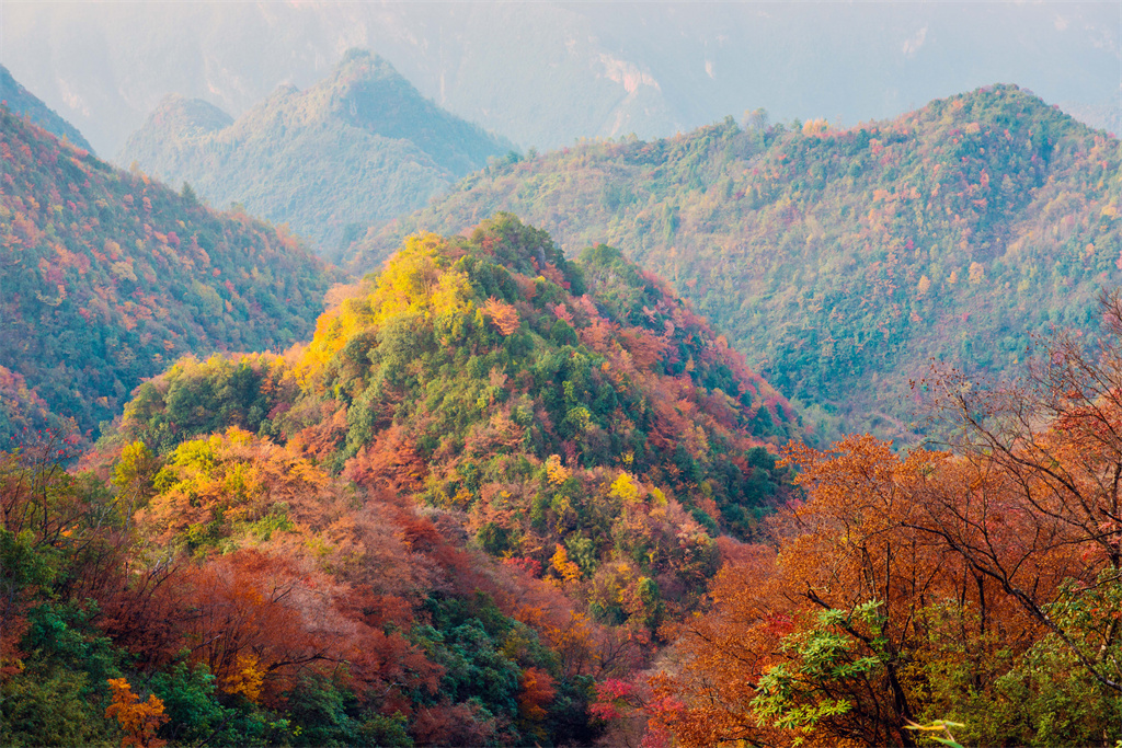 雪宝山十宝之千层红叶(图3)