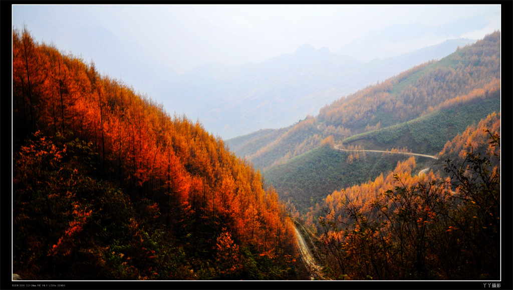 雪宝山十宝之千层红叶(图7)