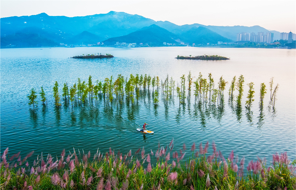 库区首个湿地与鸟类司法保护基地将落户开州汉丰湖(图1) 库区首个湿地与鸟类司法保护基地将落户开州汉丰湖(图1)