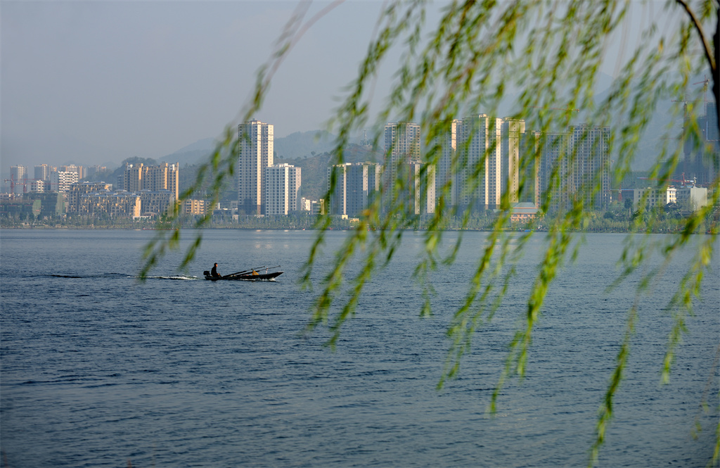 库区首个湿地与鸟类司法保护基地将落户开州汉丰湖(图4) 库区首个湿地与鸟类司法保护基地将落户开州汉丰湖(图4)